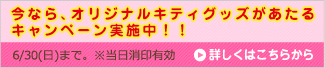 今なら、オリジナルキティグッズがあたるキャンペーン実施中!! 6/30(日)まで。※当日消印有効 詳しくはこちらから