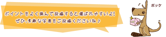 �|�C���g���悭�ǂ�œ��e����ƑI�΂�₷����I
���ЁA�f�G�Ȏʐ^�������e���������ˁ�