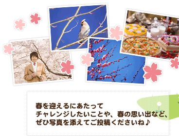 �t���}����ɂ�������
�`�������W���������Ƃ�A�t�̎v���o�ȂǁA���Ўʐ^��Y���Ă����e���������ˁ�