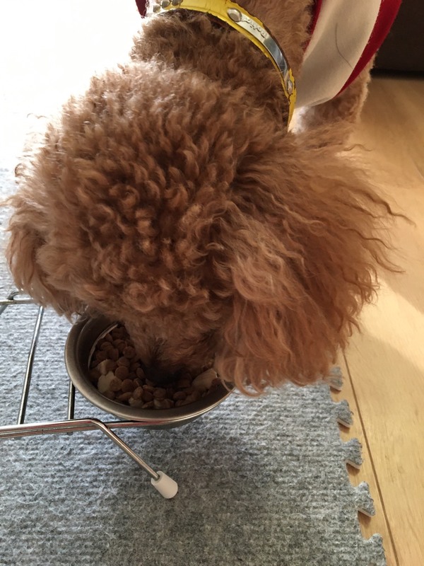 �N���[�o�[�X�^�C�� �f�ނ̎|�� �{�� �����p