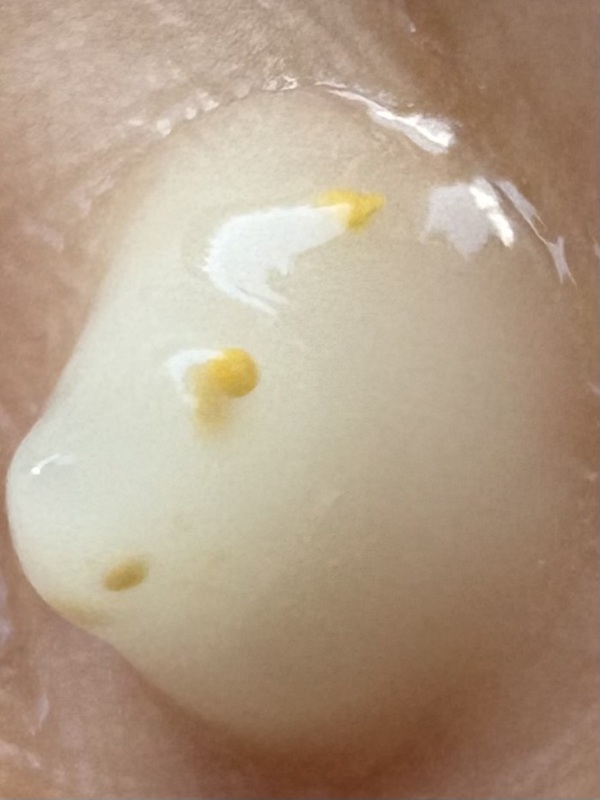 �r�^�o�����X�I�[���C�������W����×2��