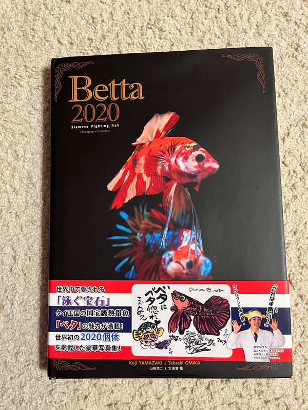 x^2020 TCA~[Y t@CeBOtBbV tHgOtRNV
