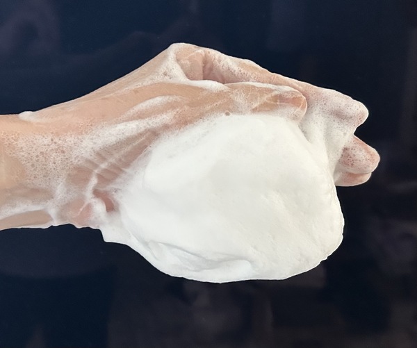 RR[h oC IjULuSESAME SOAP–Blue Rose–v2_