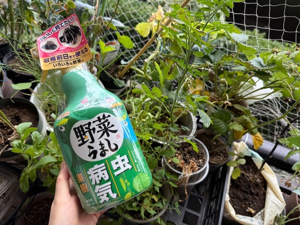 �A�[�X�K�[�f�� ��؂��܂� 1000mL