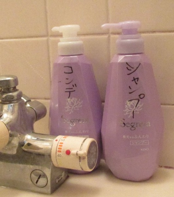 ZO^@Vv[ERfBVi[{̃yA@ӂ@l̍@2Zbg