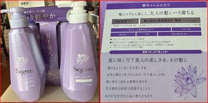 ZO^@Vv[ERfBVi[{̃yA@ӂ@l̍@2Zbg