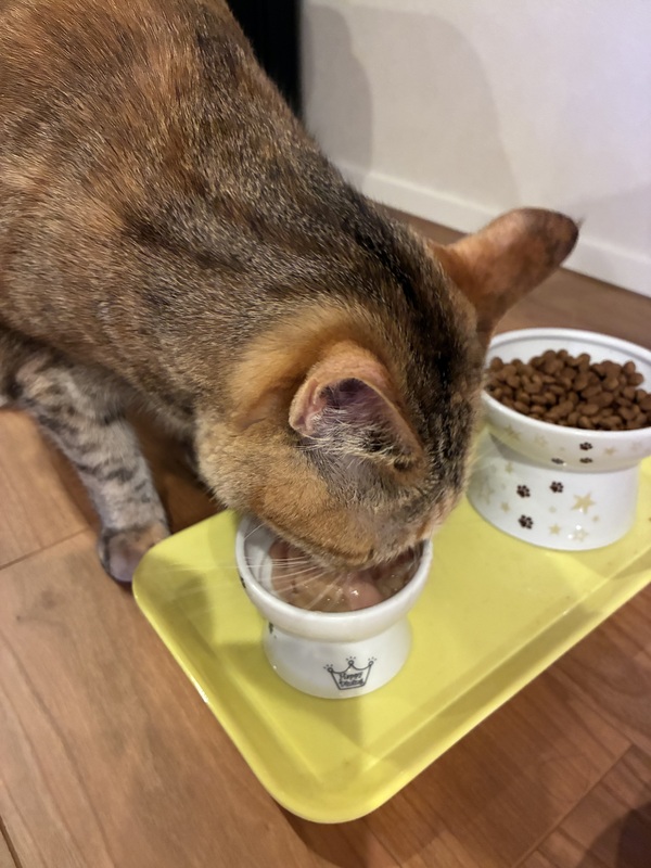 i CARE �}���`�r�^�~�� �܂���y�[�X�g 25�_