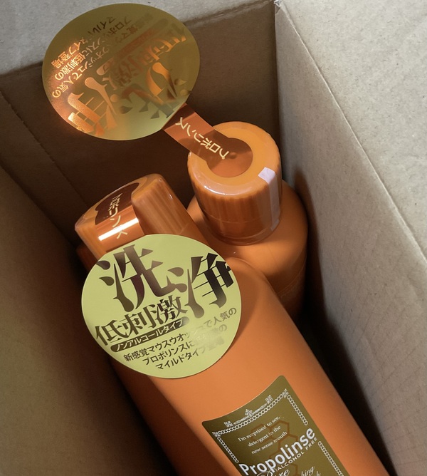 �v���|�����X�s���A×3�{