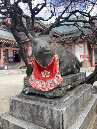 アースガーデン 花いとし 1000mL