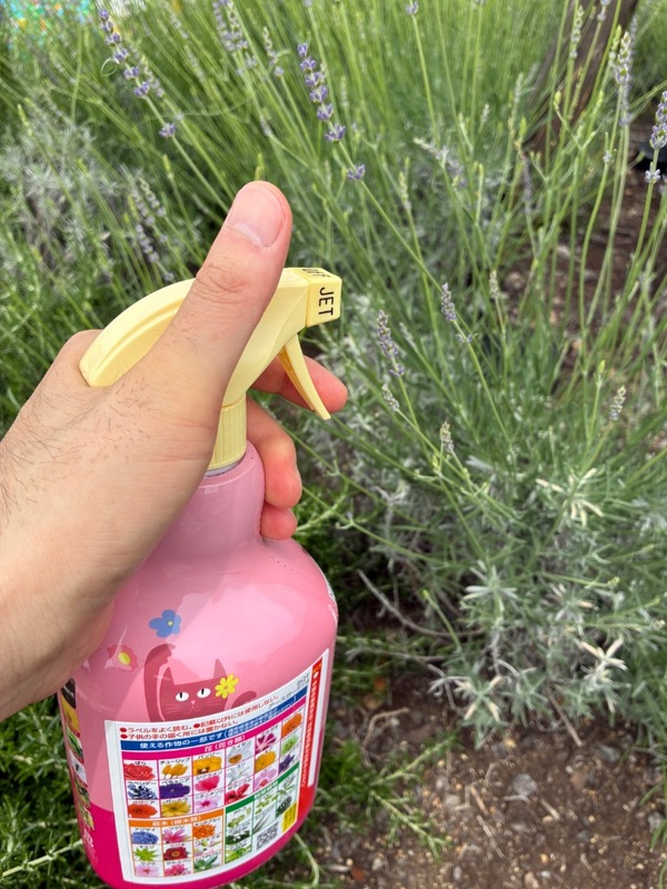 �A�[�X�K�[�f�� �Ԃ��Ƃ� 1000mL