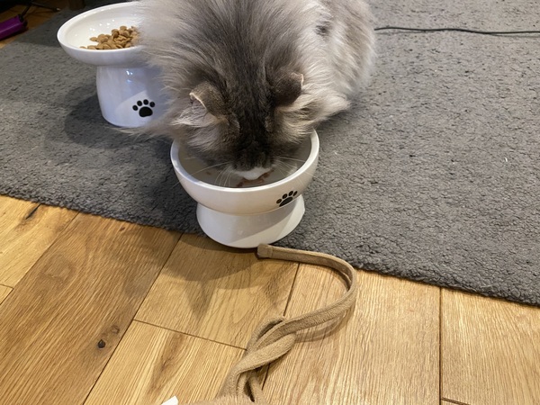 i CARE ��D�E������̃P�A �܂���y�[�X�g 96�_