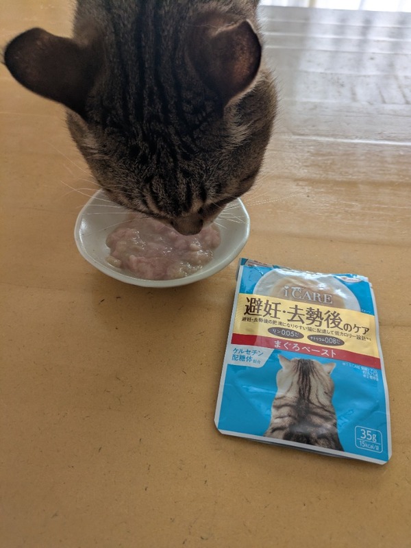 i CARE ��D�E������̃P�A �܂���y�[�X�g 96�_