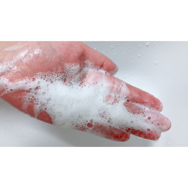 �x���^�X�J���v�V�����v�[�{�́E�l��2��4��