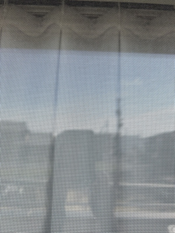 �X�N���r���O�o�u���@�Ԍ˃��C�p�[�{�̃Z�b�g �~3