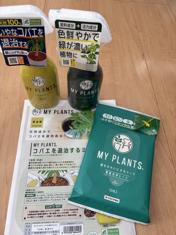 MY PLANTS®�i�}�C�v�����c�j3��Z�b�g