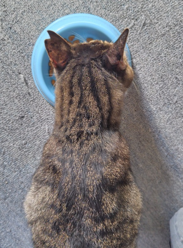 i CARE ��D�E������̃P�A �܂���y�[�X�g 25�_