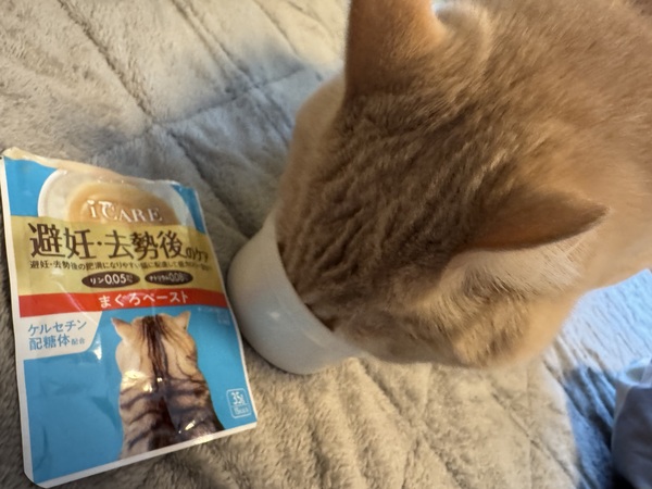 i CARE ��D�E������̃P�A �܂���y�[�X�g 25�_