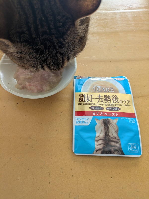 i CARE 避妊・去勢後のケア まぐろペースト 25点