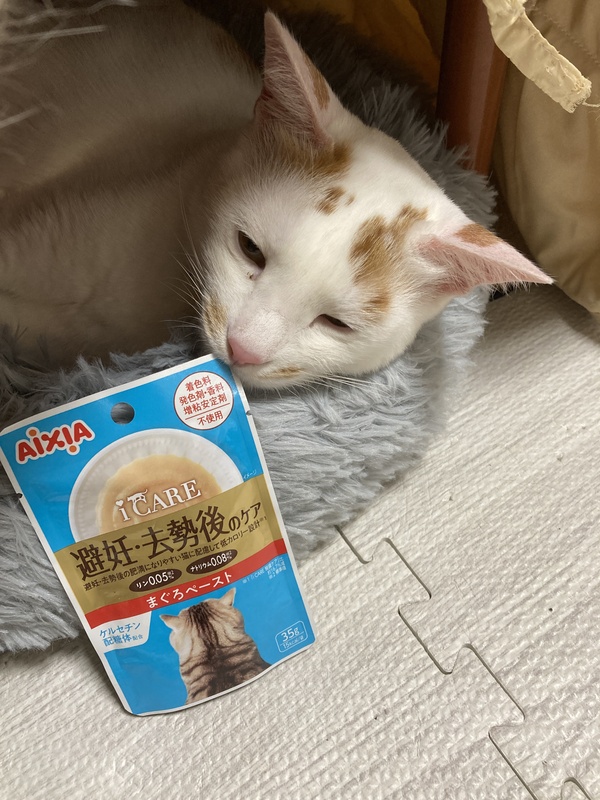 i CARE 避妊・去勢後のケア まぐろペースト 25点