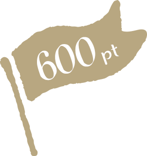 600pt