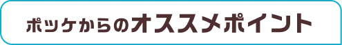 ポッケからのオススメポイント