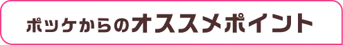 ポッケからのオススメポイント