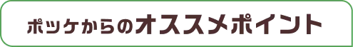 ポッケからのオススメポイント