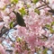 �t��T����