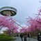 UFO��!!