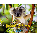 �i�V���i�� �W�I�O���t�B�b�N�@2009�J�����_�[