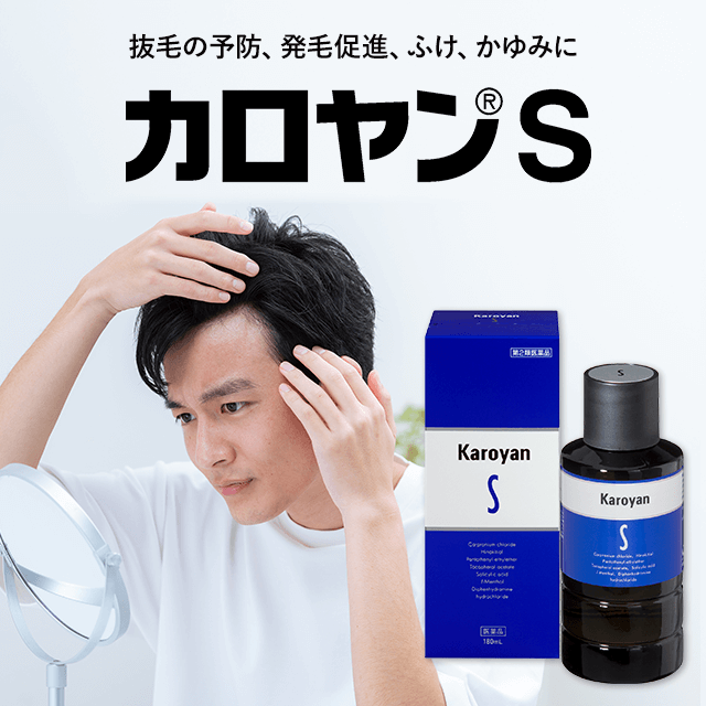 【第2類医薬品】カロヤンS