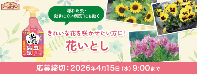 アースガーデン 花いとし 1000mL