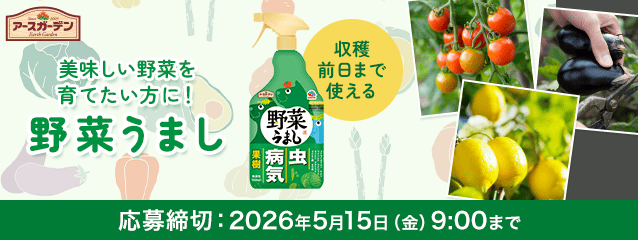 �A�[�X�K�[�f�� ��؂��܂� 1000mL