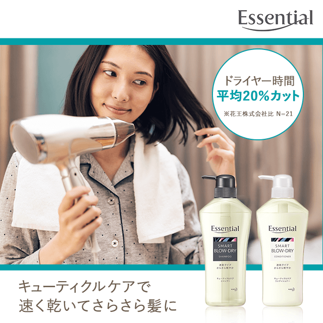 �G�b�Z���V���� �X�}�[�g�u���[�h���C(�V�����v�[�E�R���f�B�V���i�[)�܂�4��5�_