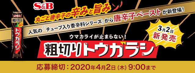 �`���[�u���荁�h���V���[�Y 3��