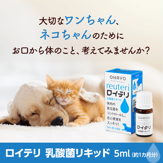 ���L�p���C�e�� ���_�ۃ��L�b�h 5ml�i��1�J�����j